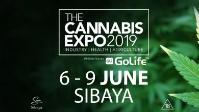 Photo of Cannabis Infused Cuisine at Cannabis Expo Sibaya