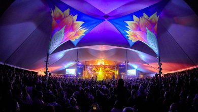 Photo of The 2020 Splashy Fen Main Stage  ‘ Live  Line-up Announcement’