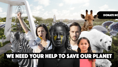 Photo of Most ambitious Conservation Project ever, releases new song with Ark4Africa in a Fundraising effort!