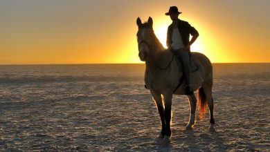 Photo of Ben Dey unveils another great single with the release of ‘Somewhere Way Out West’