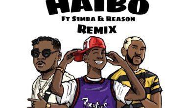 Photo of Warner Music Africa Is Proud To Present Kiddo CSA’s Debut Single Remix Offering: HAIBO ft. S1mba & Reason
