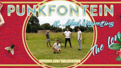 Photo of Out Today – The Sensational SA Collaborative Pop Punk Anthem ‘The Leviathan’ From Punkfontein ft. Meel Vignetting