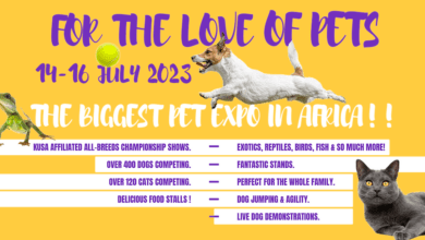 Photo of Africa’s Biggest Pet Expo Takes Over Montecasino in 2 weeks time!
