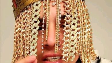 Photo of Move over Goldilocks, Dan Sur has arrived