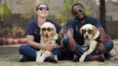 Photo of The South African Guide-Dogs Association presents Wear Your Shades Day!