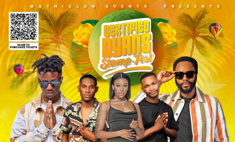 Certified Dyans Stampfest