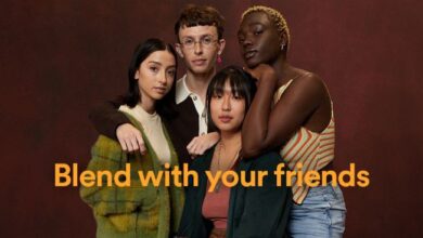 Photo of Spotify Blend takes centre stage at Rocking The Daisies