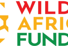 Photo of Wild Africa Fund – Pioneers Reshaping Conservation in Africa