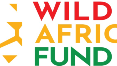 Photo of Wild Africa Fund – Pioneers Reshaping Conservation in Africa