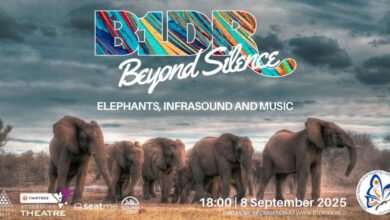 Photo of Beyond Silence – 8 September 2025 Atterbury Theatre