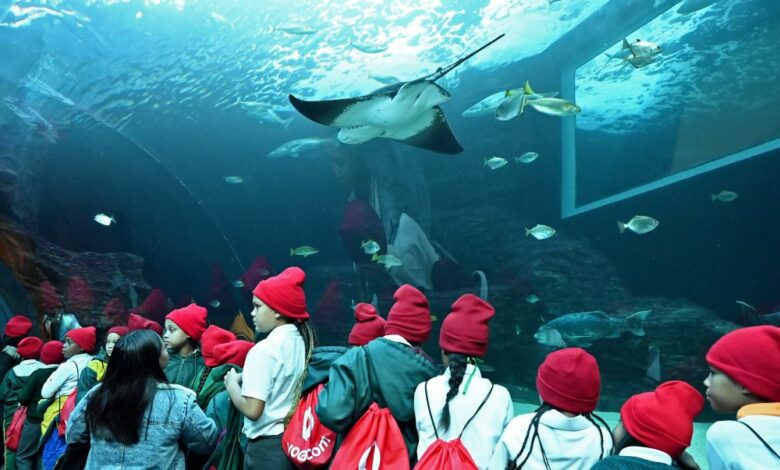 Vodacom ignites a green generation