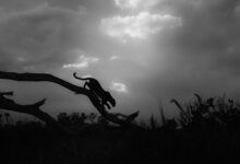 Photo of Sony World Photography National & Regional Awards Winners Announced